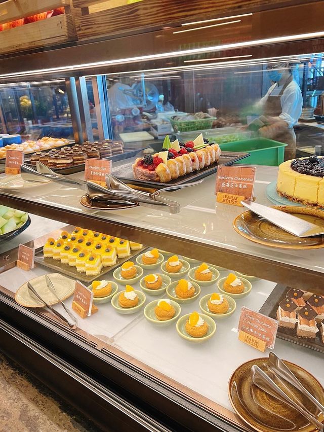 食物好高質嘅lunch buffet