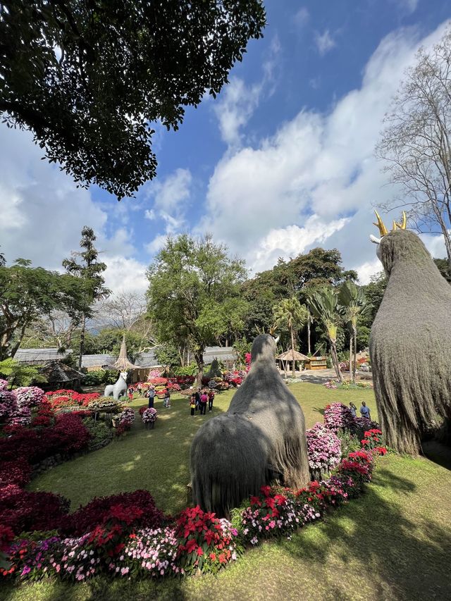 สวนดอกไม้สวยๆ ชมความงดงามบนยอดดอย