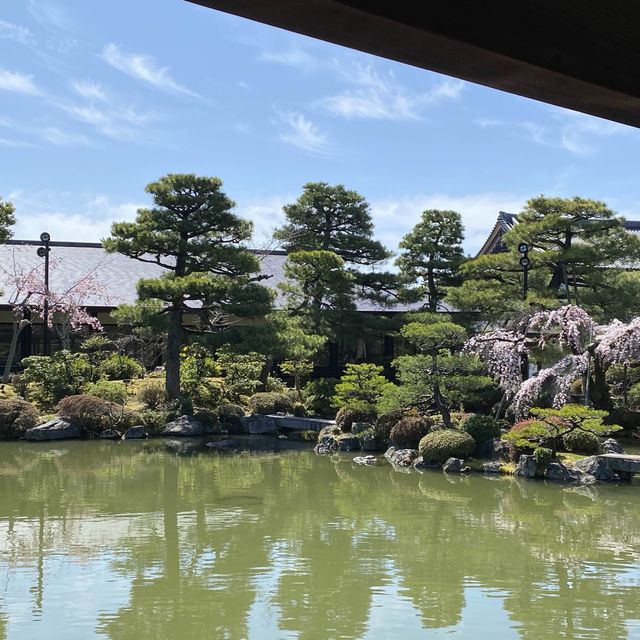 平安神宮内の日本庭園で四季を感じる旅