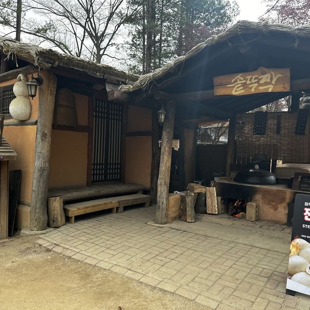 春川市-南怡島