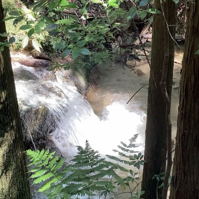 【登山】愛知県猿投山で気軽に登山⛰