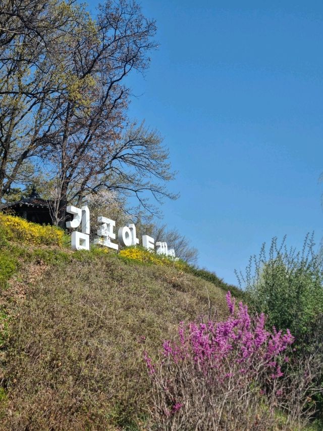 김포의 봄축제, 모담축제
