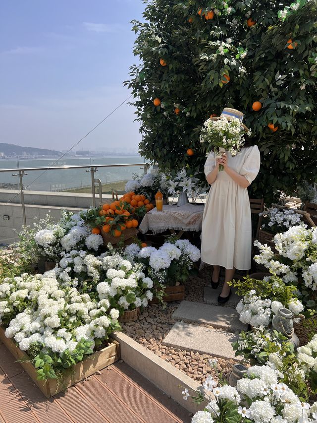 韓国【仁川】ここは済州島！？🧡海が見えるリゾートカフェ🏝️