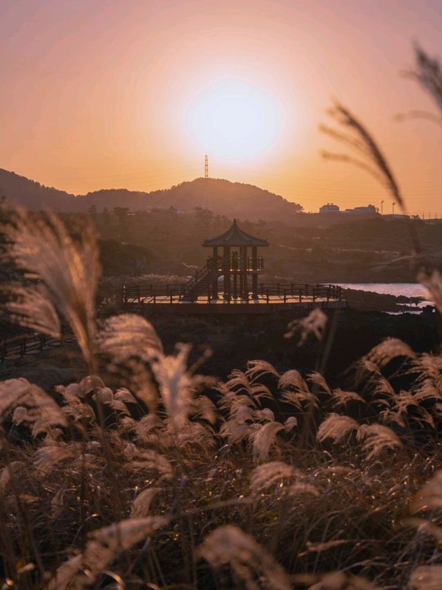 억새풀과 제주바다를 한눈에 볼 수 있는 이곳"닭머르해안길"