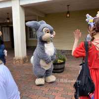 Tokyo Disney Sea