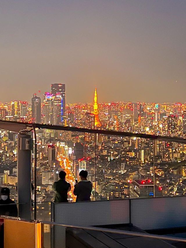 도심을 한눈에 볼 수 있는 도쿄 시부야전망대🧡