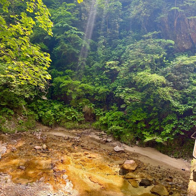 【福島】樹齢100年超えの樹木に癒される山の中の寺院