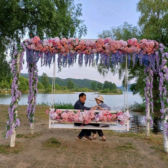 자라섬의 꽃잔치