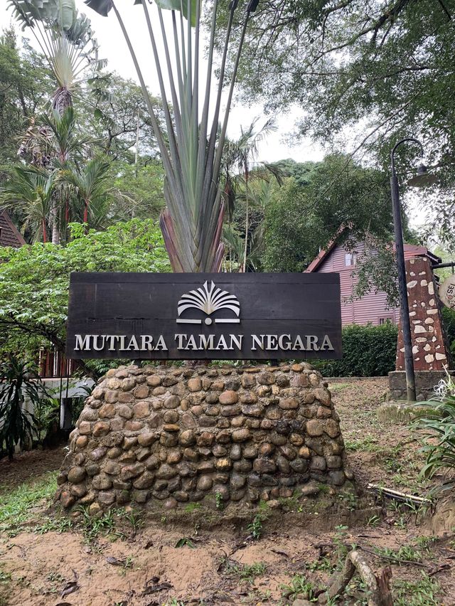Peaceful vacation at Mutiara Taman Negara