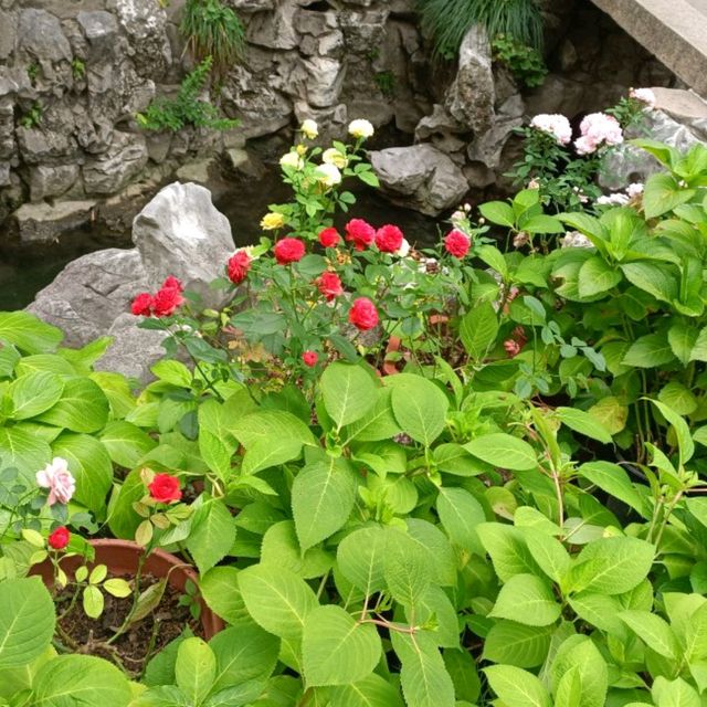 上海旅遊必到景點--豫園