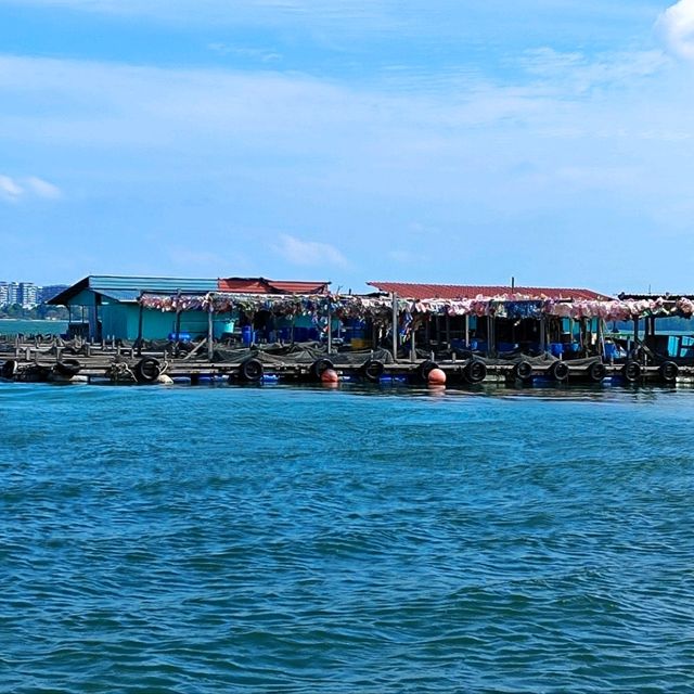 Boat tour in Singapore sea