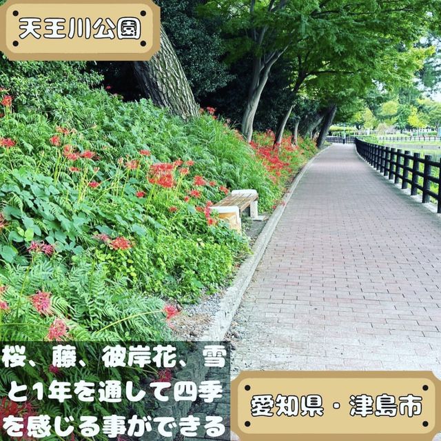 天王川公園