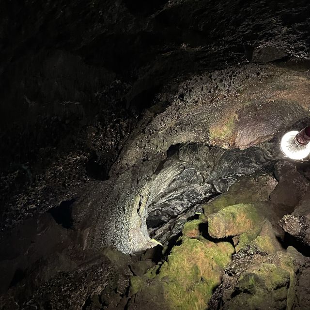 富岳風穴 WIND CAVE