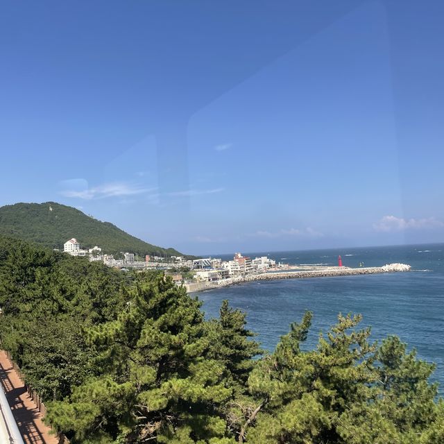 釜山海雲台人氣膠囊列車🥳