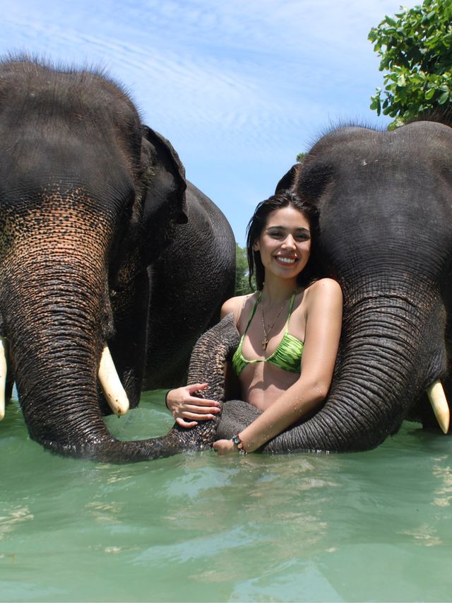 Swim with elephants at Tri Trang beach,Phuket