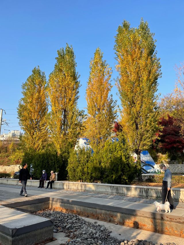 서울 단풍명소, 연남동 연트럴파크