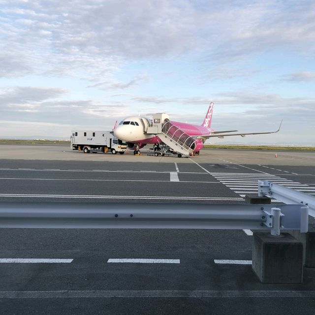 【大阪】ピーチで行く福岡日帰り旅行✈️✈️