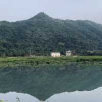探秘香港"綠野仙蹤〞谷埔/鹿頸