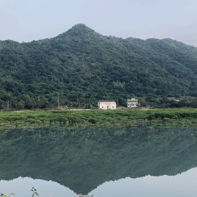 探秘香港"綠野仙蹤〞谷埔/鹿頸