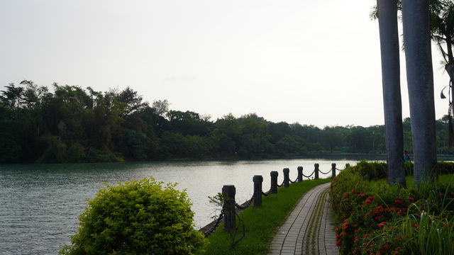 🏞️ 高雄澄清湖一日遊 🗺️