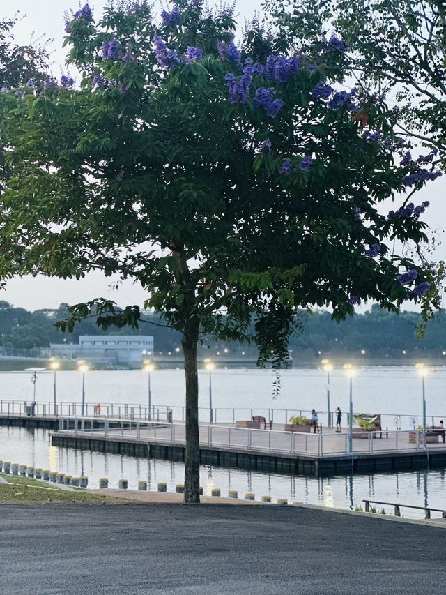 💫Bedok Reservoir💫neighbourhood leisure park