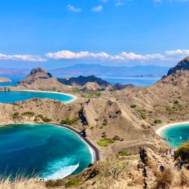 コモド島🇮🇩