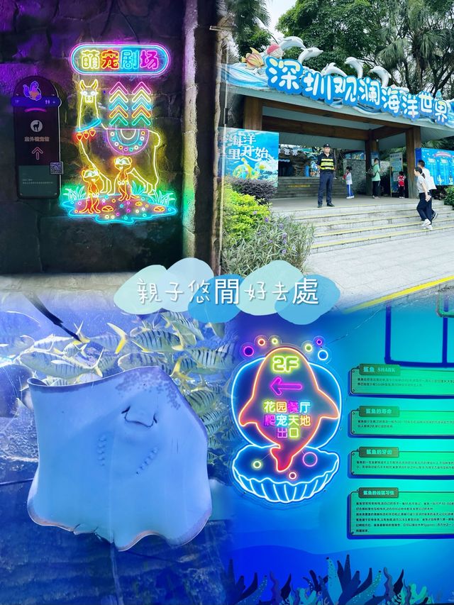 打卡必度海底隧道🐬🐟🐠 10,000尺超大型水族館❤️