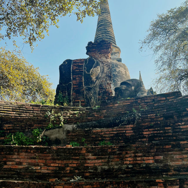 วัดพระศรีสรรเพชญ์
