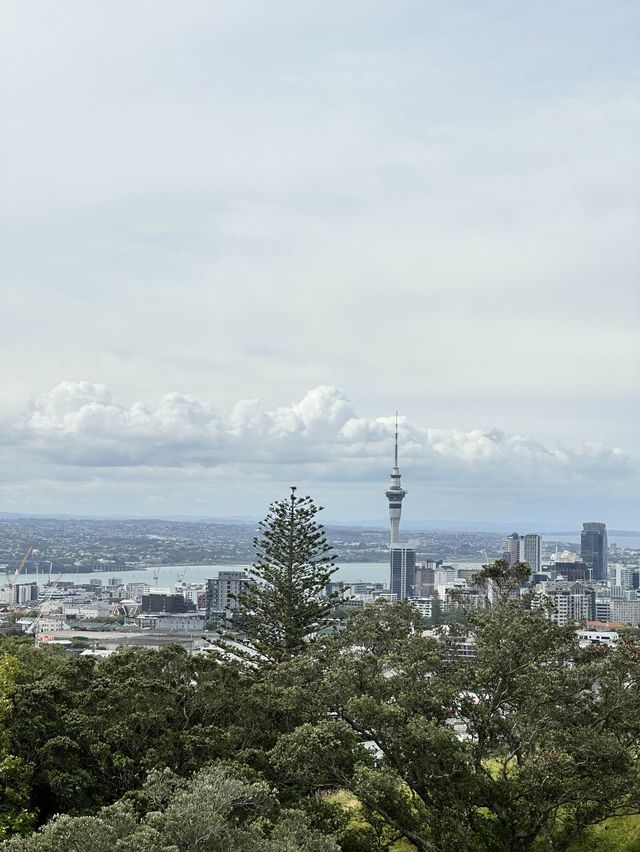 City view from Mt Eden