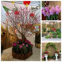新春的香港公園x太古廣場🐇🎊🌺