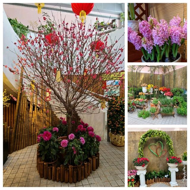 新春的香港公園x太古廣場🐇🎊🌺