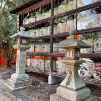 下鴨神社⛩️祈求戀愛順利🫶🏻京都隱世景點
