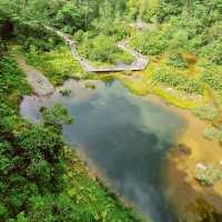 🇸🇬SG’s 1st net positive energy nature park 