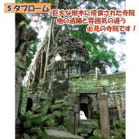 【カンボジア】アンコールワット周辺遺跡5選