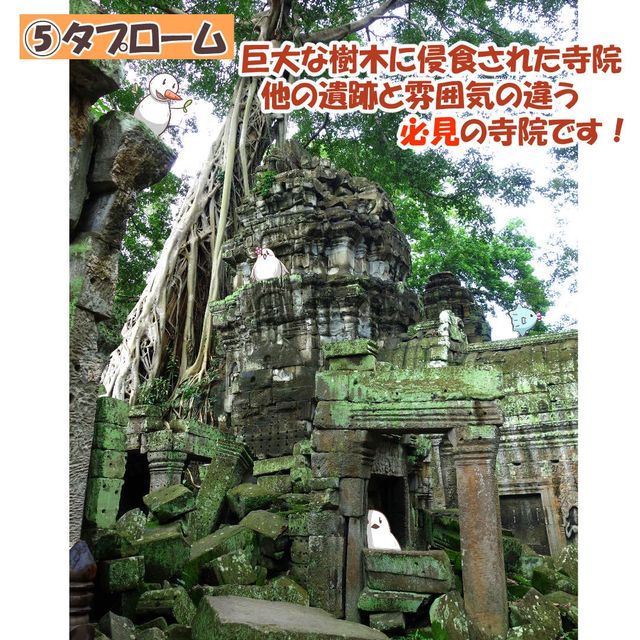 【カンボジア】アンコールワット周辺遺跡5選
