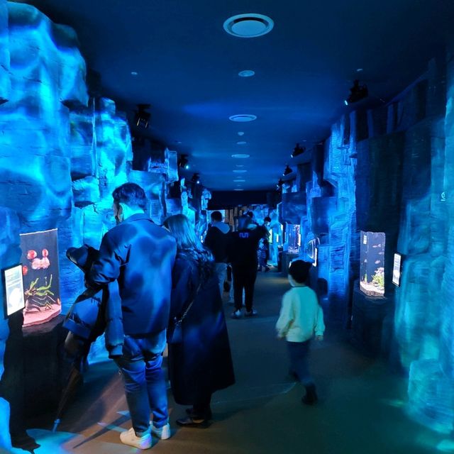 제주의 바다의 아름다움을 재현한 아쿠아플라넷 제주🐬