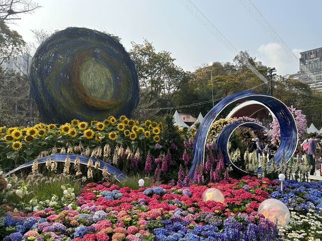 香港賞花 | 維園花展 | 主題花繡球花篇