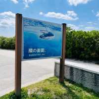 Paradise Next Door at Senaga Island Okinawa