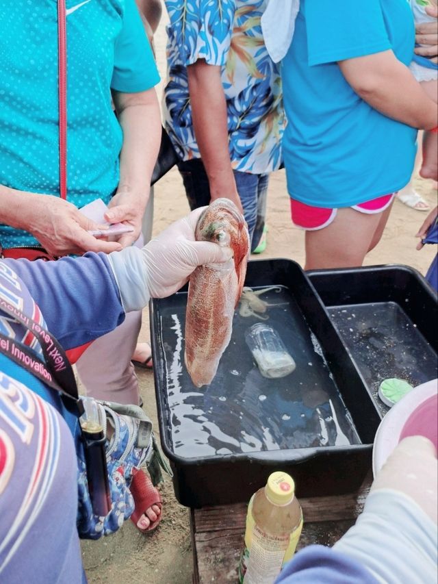 ช็อปของทะเลสดๆ จากตลาดประมงพื้นบ้าน หาดจอมเทียน