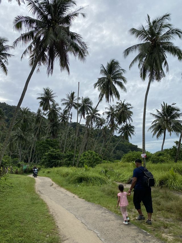 Productive Morning at Pantai Esen