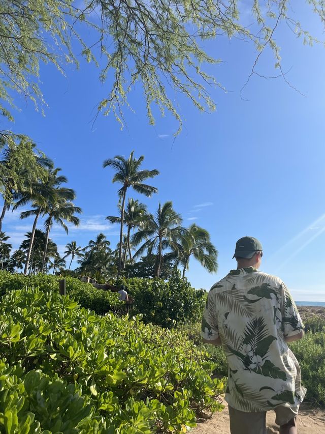 하와이는 와이키키만 유명한 게 아니야〰코올리나 비치파크🌴🍃