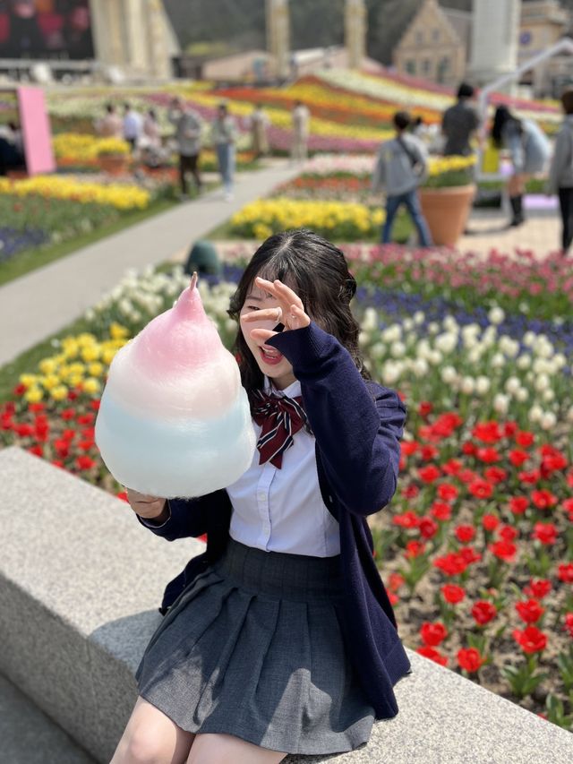 네덜란드 튤립 축제 부럽지 않은 에버랜드🌷