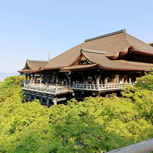 Iconic Kiyomizu-dera Temple in Kyoto 