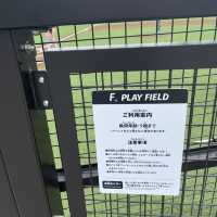 F⭐︎play field