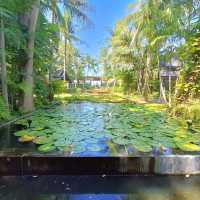 ที่พักสุดร่มรื่น ริมหาดบ่อผุด Anantara Bophut Samui