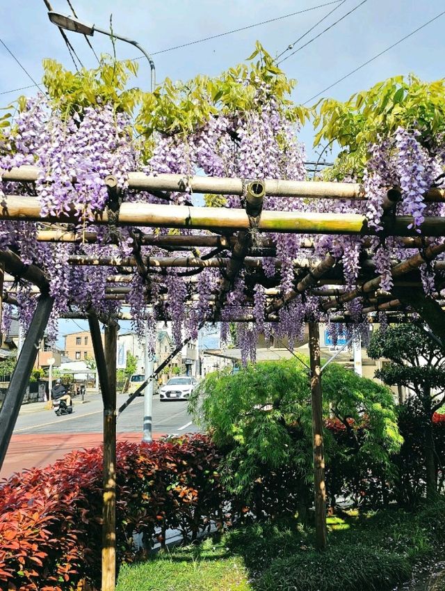 川越喜多院