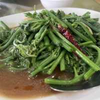ไร่ชา 101 ดอยแม่สลอง