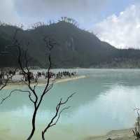 Mesmerizing Beauty at Kawah Putih, Bandung