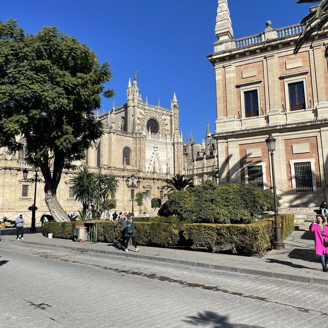 Orange you glad you went to Seville? 🍊 