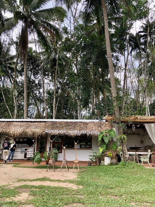 ในสวนศรี พัทลุงบ้านฉัน แหล่งเรียนรู้กิจกรรมต่างๆ